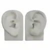 Modelo de Orelha Silicone Macio Realista Modelo de Orelha Humana para Exibição de Joias e Prática Silicone Realista Orelha