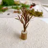 Caja Misteriosa Decoración Bosque Micro Paisaje Musgo Corteza Material DIY Casa de Muñecas Escena Accesorios Hechos a Mano Material