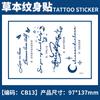Pegatina de tatuaje de hierbas con diseño de planta de jugo, nombre en inglés, para hombres y mujeres, impermeable, de larga duración, simulación