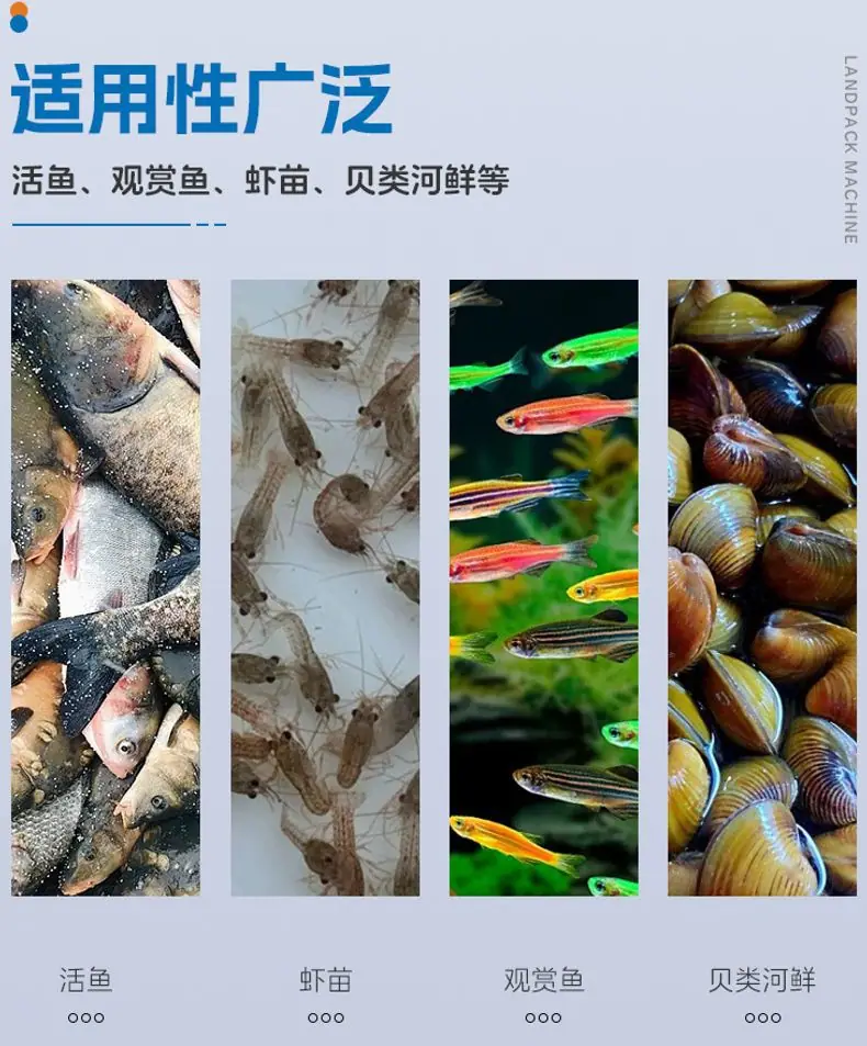 LD-520倾斜式+笋壳鱼+英姐_03.jpg