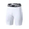Shorts Esportivos Longos Apertados Masculinos, Secagem Rápida, Respirável, Elástico, Absorvente de Suor, Anti-Exposição, Verão, Atacado de Fábrica Transfronteiriço