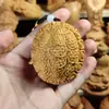 Ciprés de Acantilado Taihang Loto Riqueza Pieza de Mano Madera Maciza Tallada Concha de Tortuga Riqueza de Mano Portátil Pieza de Juego