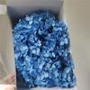 Anna Hortênsia 20G/Caixa Flor Imortal Flor Eterna Caixa de Presente Material de Flor Flor Seca Flor Preservada Material de Flor Imortal