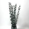 Planta de simulación de Amazon eucalipto de plástico blando hoja de dólar boda decoración del hogar planta verde de simulación flores