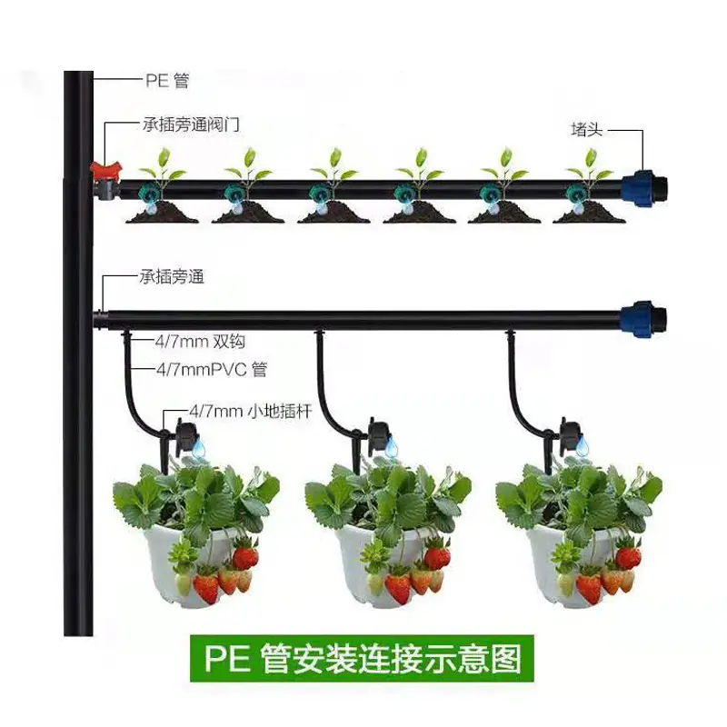 详细信息5
