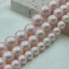 Perlas Imitación Swarovski Perla Iridiscente Mate Serie Camaleón Perlas de Concha Esmerilada del Mar del Sur Agujero Recto Accesorios DIY