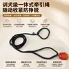 Corda de Tração P-Chain Tecida de Múltiplos Diâmetros Mais Vendida da Amazon, Guia de Treinamento para Animais de Estimação Integrada de Nylon Resistente ao Desgaste