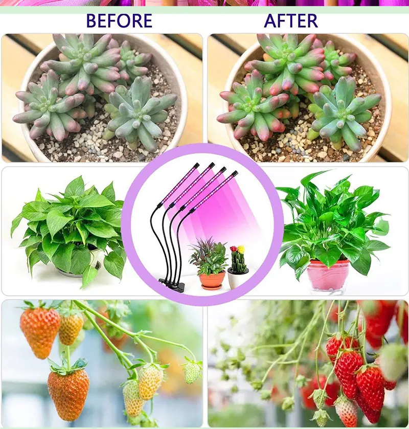 四管植物灯-红蓝光_16.jpg