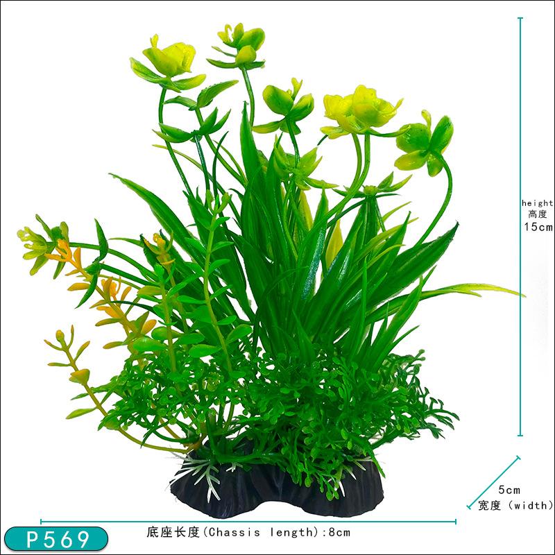 P569.jpg