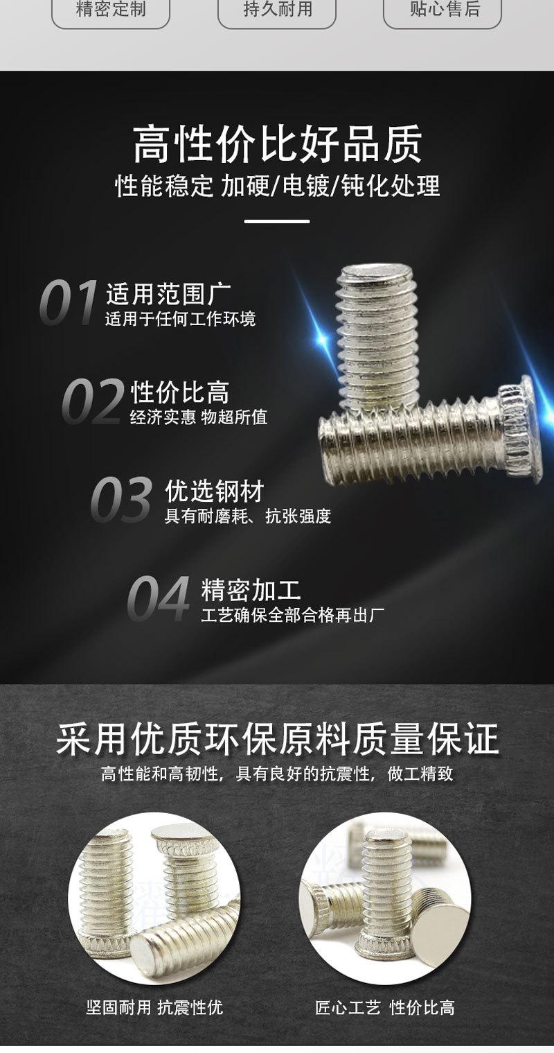 挤压螺钉_02.jpg