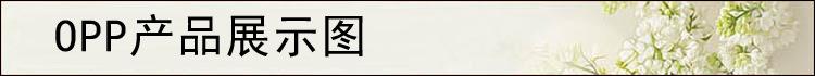 OPP产品展示标题