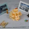 Flores Artificiais 27 Peças Cabeça de Flor de Hortênsia Conjunto de Arco de Parede de Flores para Auditório de Casamento Flores de Seda Ornamentos Flores Decorativas para Palco