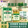 Ungüento Herbal para la Piel Rey de los Hongos de Gongkang Hong Kong para Uso Externo, Crema Calmante para Cuidado de la Piel de Todo el Cuerpo, Esencial para el Hogar