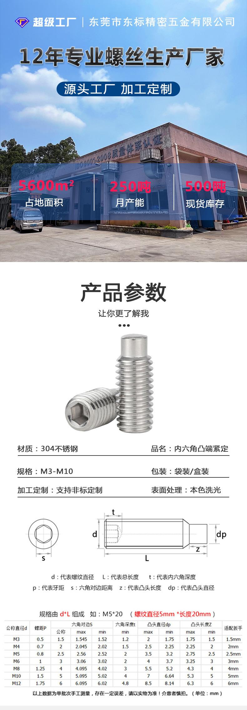 东标内六角凸端紧定新详情_01.jpg