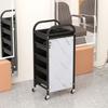 Carrito de peluquería, gabinete de herramientas para peluquería, carrito de herramientas para teñido permanente, carrito de almacenamiento móvil para salón de permanente