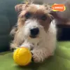 Bola de Brinquedo Laino para Cães e Gatos, Bola de Borracha Fofa que Faz Som, Bola Dispensadora de Petiscos, Coleira Brinquedo para Cães Médios e Grandes