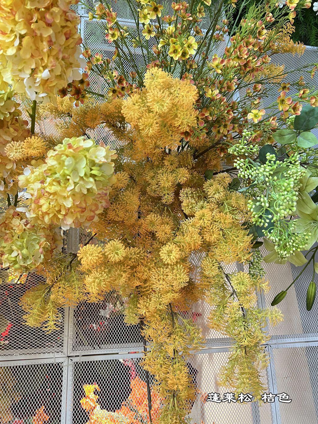 微信图片_20230401101654_副本.jpg