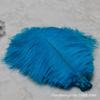 Pluma de Avestruz de 25-30 cm Foto Popular Pluma de Avestruz Colorida Decoración de Boda Material de Pluma Real Pared de Fondo