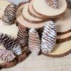 Atacado pinha flor seca decoração de Natal feito à mão DIY saco de material adereços de fotografia acessórios pinha de Natal natural
