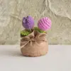 Bolsa de la Suerte Tejida a Crochet Hecha a Mano Transfronteriza Plantas Pequeñas en Maceta Muebles para el Hogar Decoración de Rosa Tejida de Lana Plantas en Maceta Flor Simulada