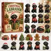 Calendario de Adviento Navideño de Animales Transfronterizo 2026 Calendario Navideño de Animales Caja Sorpresa S