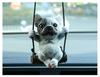 Pingente de carro Bulldog espelho retrovisor pingente de carro sentido avançado pingente de carro decoração pequena joia faça você mesmo