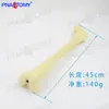 1:1 Hueso Artificial Cirugía Práctica Hilos Hueso Ortopédico pfna Artificial Sintético Trauma Ortopédico Instrumento Quirúrgico Práctica