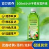 Solução Nutritiva Orgânica de Molécula Pequena, Solução Nutritiva Especial para Orquídeas, Suprimentos de Jardinagem, Vasos para Flores, Fertilizante para Flores de Varanda e Interior