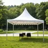 Carpa a dos aguas estilo europeo para eventos al aire libre, ferias comerciales, exposiciones, publicidad, carpa blanca de cuatro patas para reuniones y campamentos