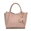 Bolso sencillo con estampado de lichi de otoño, bolso cruzado casual coreano para mujer, para ir al trabajo, madre e hija