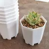 Macetas gruesas para suculentas, varios tamaños, macetas octogonales de plástico, al por mayor para uso doméstico, plantas en maceta, esquejes de hoja, macetas para plántulas, al por mayor por pieza