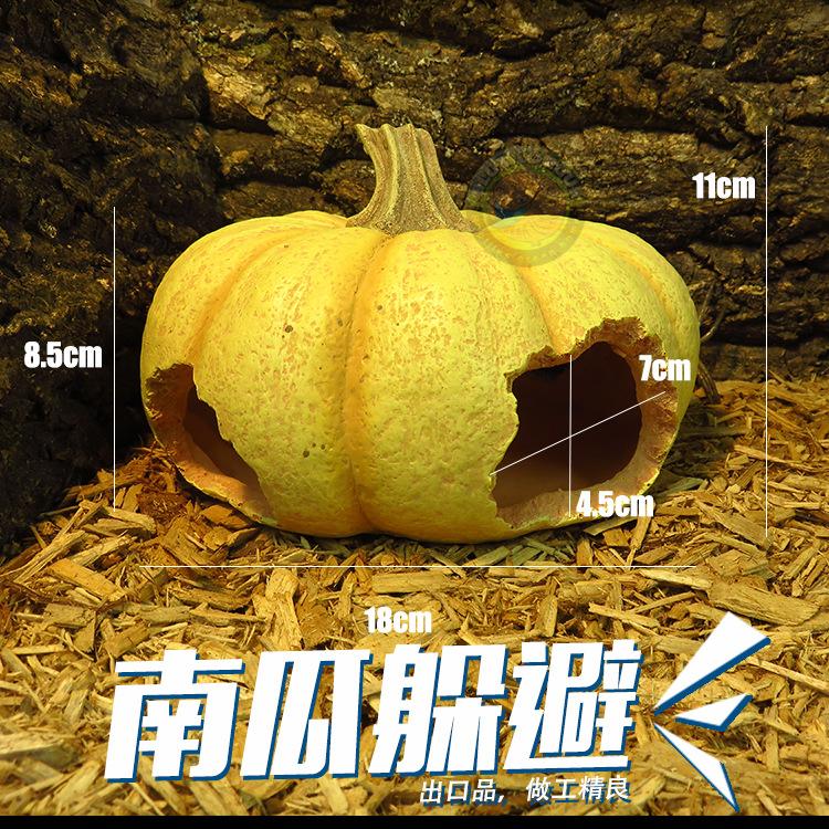 南瓜
