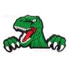 Serie de dinosaurios lindos Jurásicos suministro spot transfronterizo zapatos con agujeros zapatos de flores zapatos de hebilla accesorios Amazon