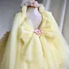 Vestido para Menina com Flores Bordadas, Estilo Europeu e Americano Vestido Princesa com Laço, Design sem Costas, Vestido de Primeiro Aniversário para Bebê Menina, Vestido Tutu para Daminha