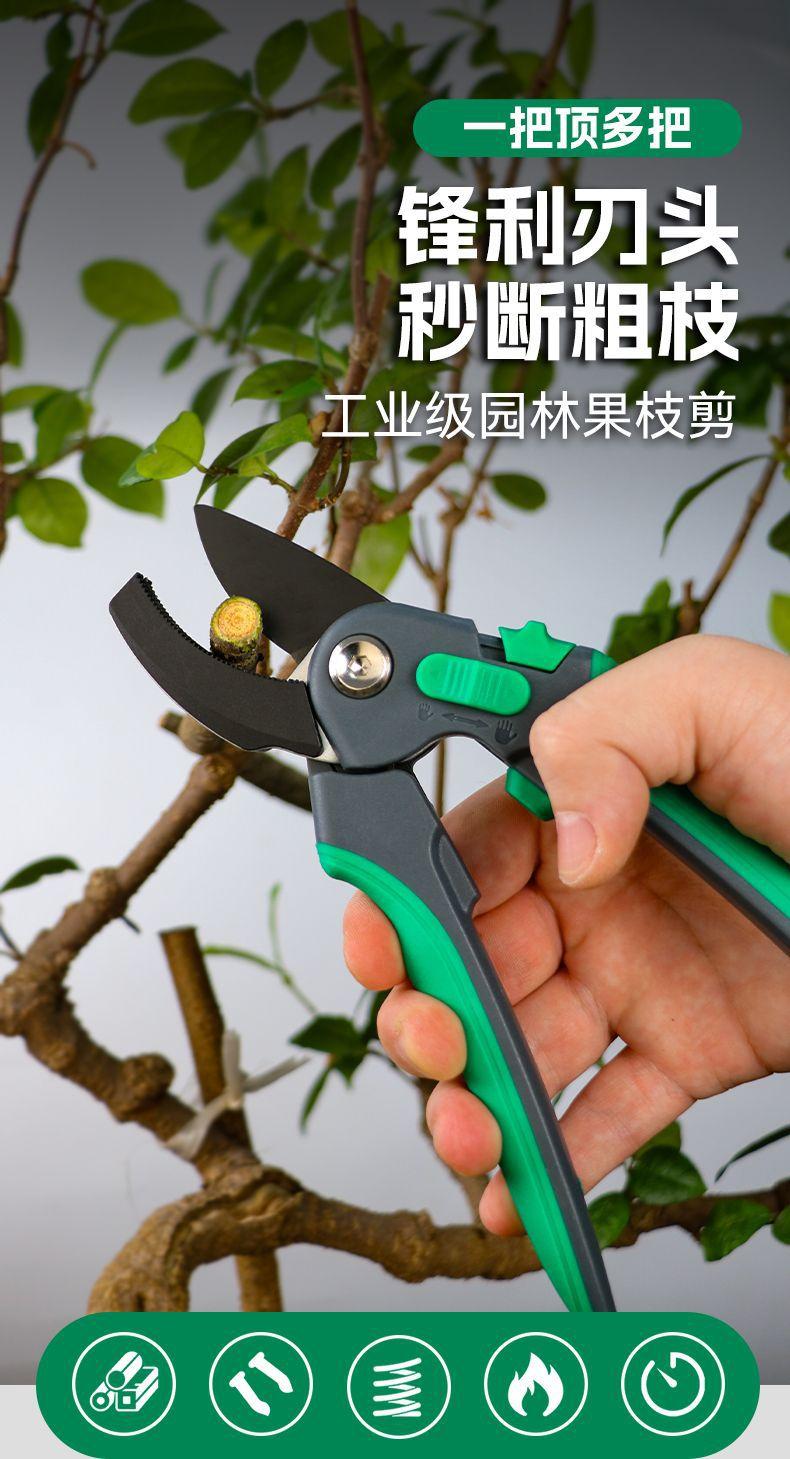 1-园林果枝剪.jpg