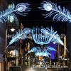Linternas de Plumas, Luces de Cortina, Luces de Cortina de Agua, Luces de Cortina de Bolsillo, Luces de Decoración para Bodas, Luces con Tema de Amor