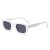 Gafas de sol transfronterizas populares clásicas caja gafas de sol Europa y Estados Unidos retro gruesas montura pequeña gafas de sol fabricantes al por mayor