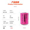 RAMWAY Ruiyi RHC1520 Super capacitor de batería + Paquete de baterías de litio ER26500/ER34615 para medidor de agua