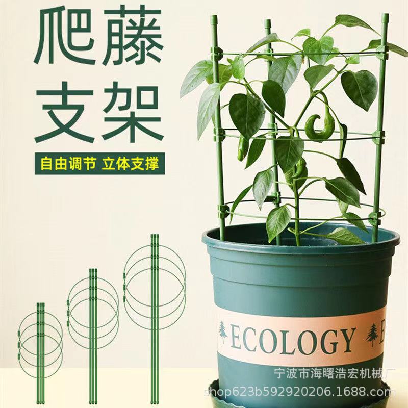 微信图片_20210812155605