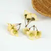 Cabezas de flores simuladas de cinco pétalos para manualidades DIY, decoraciones de flores coloridas, arreglos de pared de flores para bodas, accesorios de flores artificiales al por mayor