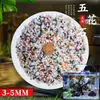 Arena de fondo para acuario, piedras decorativas, juego completo de piedras florales de lluvia ecológicas naturales, piedras luminosas y piedras en bruto