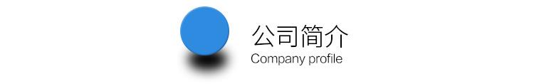 公司