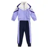 Uniforme de jardim de infância, jaqueta de baseball de outono, conjunto verde e roxo, uniforme de classe de escola primária, uniforme escolar de verão de três peças, todo em algodão