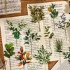 Serie Museo Natural Yuezhen Paquete de Pegatinas Pegatinas Vintage para Diario Infantil Pegatinas de Flor y Mariposa PET