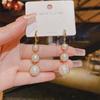 Pendientes geométricos con hebilla de oreja de estilo frío, sencillos, ligeros, de lujo, de gran sentido, para mujer, versátiles, venta al por mayor