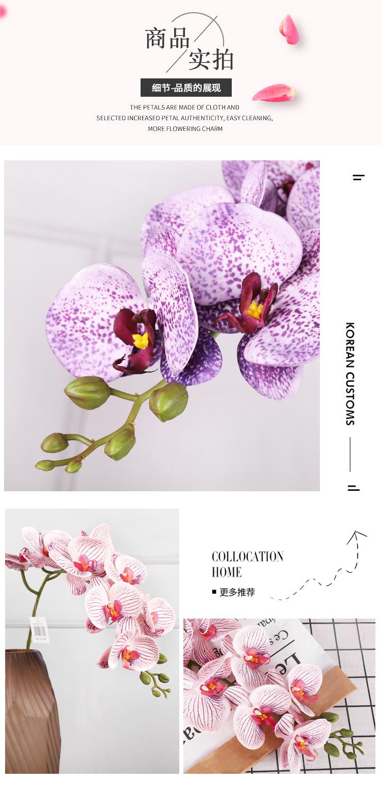 琪浩-硅胶棉3d兰花_07.jpg