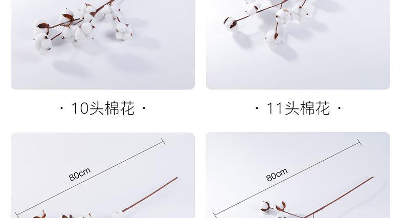 企业微信截图_16541519121840_07