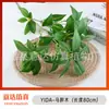Planta Verde Artificial Campana Colgante Hoja Madera de Caballo Flor Falsa Sala de Estar de Pie Arreglo Floral Rama Verde Hojas Flores Arreglo Floral Pantalla Paisaje Ramas Falsas