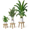 Prateleira de Armazenamento de Plantas de Madeira Multi-Tamanho Prateleira de Armazenamento de Plantas em Vasos Sala de Estar Jardim Varanda Prateleira de Posicionamento de Plantas Multi-Cenário