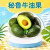 Abacates sazonais de Yunnan, atacado e entrega, 2/8/15 unidades de abacates gigantes cremosos macios, fruta fresca